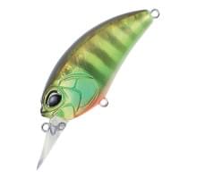 Воблер DUO REALIS CRANK M62 5A : Chart Gill Halo (AJA3055)