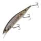 Goby ND