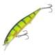Perch ND