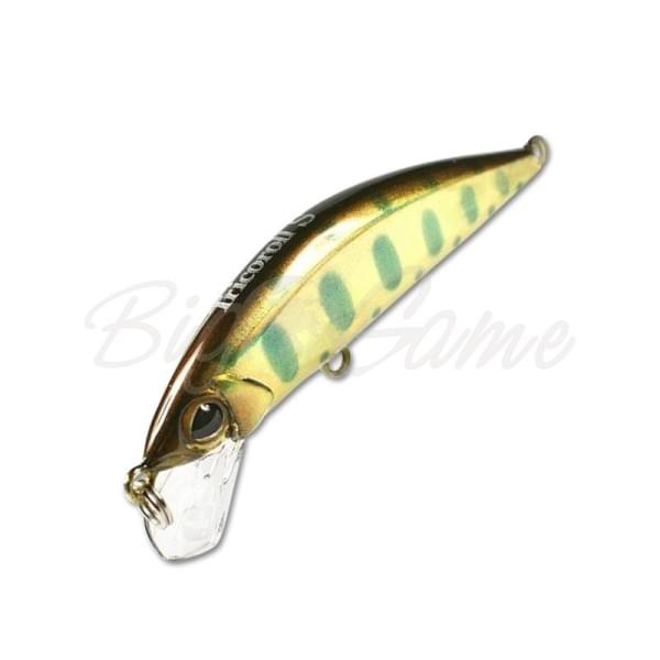Воблер Jackall Timon Tricoroll 55S цв. gold yamame
