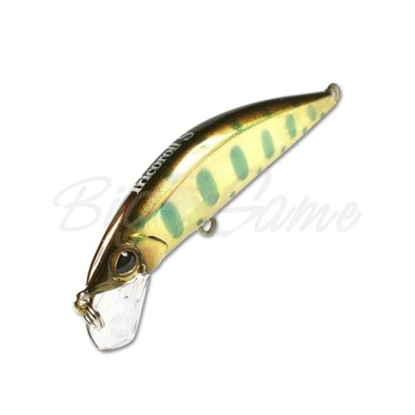 Воблер Jackall Timon Tricoroll 47S цв. gold yamame