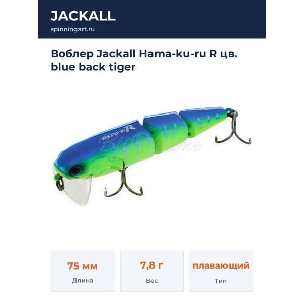 Воблер Jackall Hama-ku-ru R цв. blue back tiger