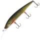 rt lively pike