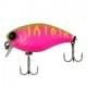 dragon fruit mat tiger