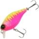 dragon fruit mat tiger