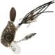 brown bug