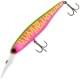 dragon fruit mat tiger