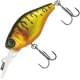 mat gold tiger