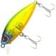 lime squash