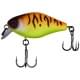 tropical mat tiger
