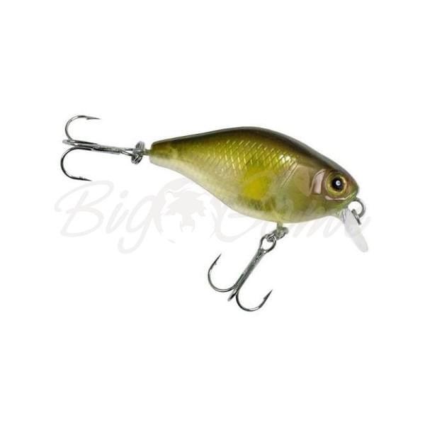 Воблер Jackall Chubby 38F цв. ghost ayu