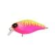 dragon fruit mat tiger