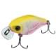 clear chartreuse tiger