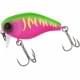dragon fruit mat tiger