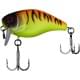 tropical mat tiger