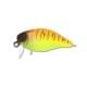tropical mat tiger