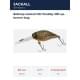 brown bug