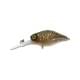 brown bug