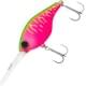 dragon fruit mat tiger