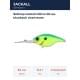 blueback chartreuse