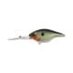 ghost threadfin shad