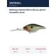 ghost threadfin shad