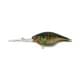 rt bluegill