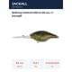 rt bluegill