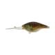 rt ghost bluegill