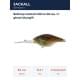 rt ghost bluegill