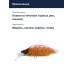 Воблер Megabass GH52 Bat a Fry dd pink back gold