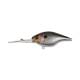 sk silver shiner