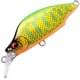 dd lime back gold ob