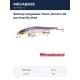pm tequila shad