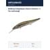 Воблер Megabass Vision Oneten +1 ito wakasagi
