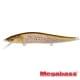 fa brown trout