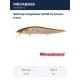 fa brown trout