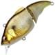 glx sunshine gill