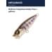 Воблер Megabass Baby Pop-x gillkko