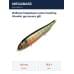 Воблер Megabass Lates Feeding Woofer gp aurora gill
