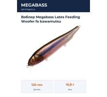 Воблер Megabass Lates Feeding Woofer fa kawamutsu