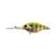 chartreuse back bluegill