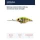 chartreuse back bluegill