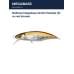 Воблер Megabass GH45 Flatside (F) m red stream