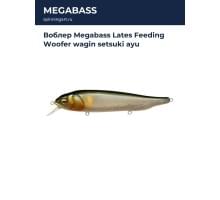 Воблер Megabass Lates Feeding Woofer wagin setsuki ayu