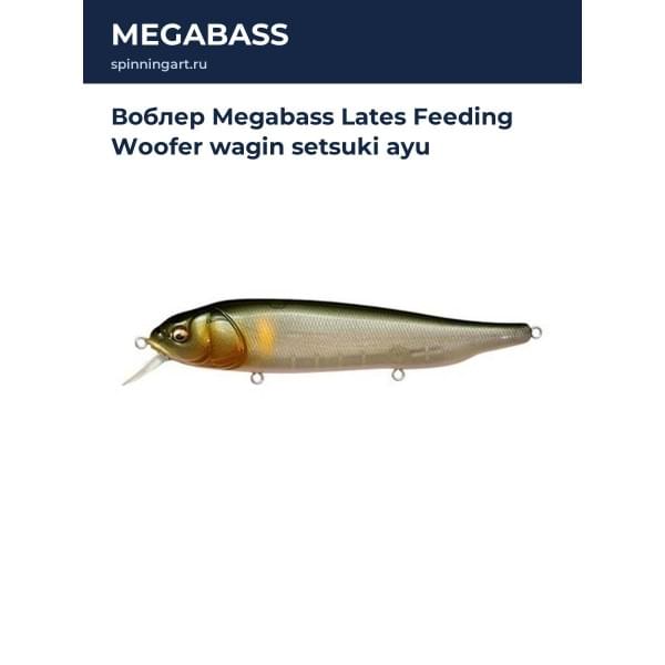 Воблер Megabass Lates Feeding Woofer wagin setsuki ayu