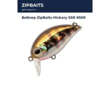 Воблер ZipBaits Hickory SSR #509