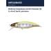 Воблер Megabass GH45 Flatside (F) lz chart back yamame