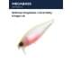 baby kingyo cb