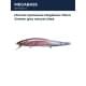 glxs natural shad